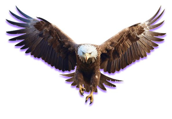 Eagle flying
